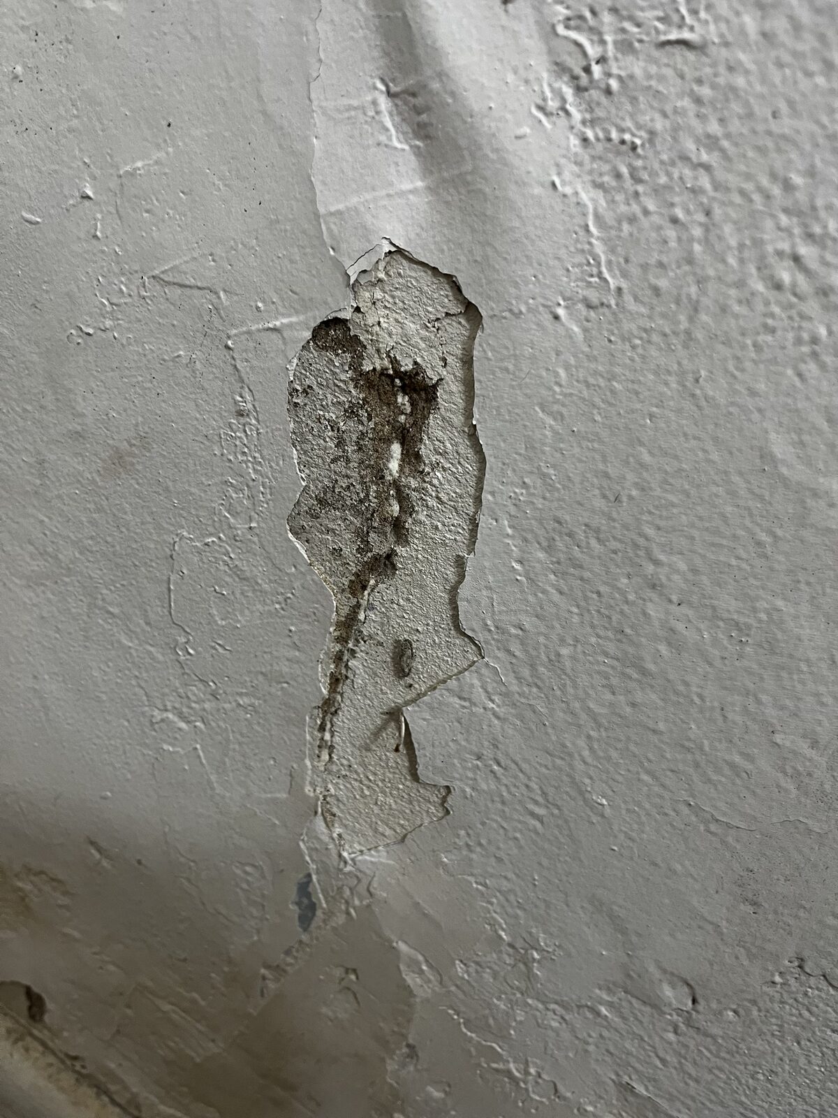 Eflorescência em alvenaria indicando umidade ascendente